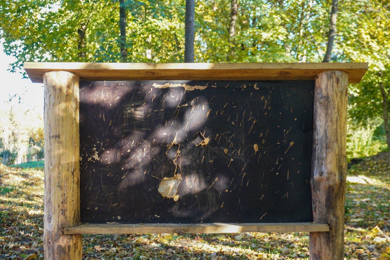 Classe en plein air dans un jardin urbain, favorisant l'apprentissage multisensoriel et coopératif.